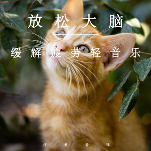 我要看他俩操逼
